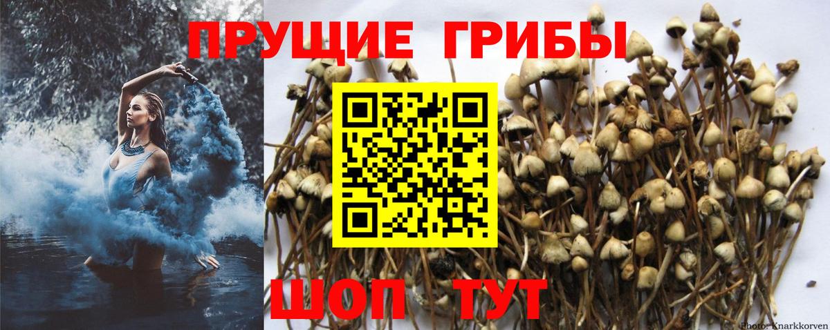 Галлюциногенные грибы ЛСД  Вход с VPN  наркота  Добрянка 